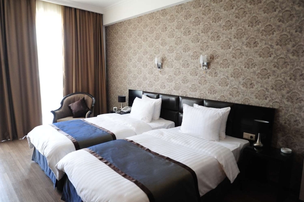Best Western Tbilisi Art Hotel (Tbilissi)
